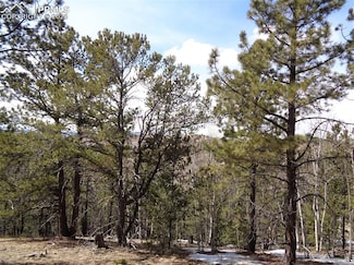 877 Princess Rd, Cripple Creek, CO 80813