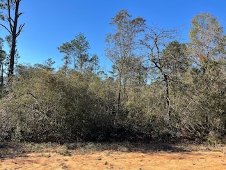 Tbd Apalachicola Ave, Alford, FL 32420