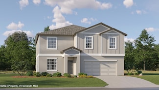 10334 Gentle Rain Dr, Land O' Lakes, FL 34638