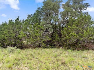 141 Vista View Place, Spring Branch, TX 78070