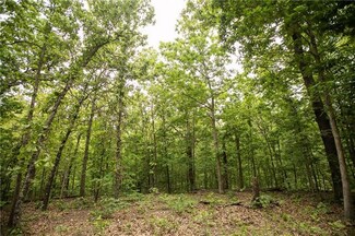 0000 Canfield Ridge Rd, Edwards, MO 65326