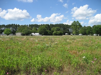 Parish Rd, Grapeland, TX 75844