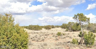 33XXX Us Highway 180 -- Unit 94, Saint Johns, AZ 85936