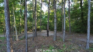 R97410 Carrell Rd, Lufkin, TX 75901