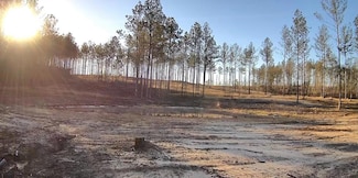 00 Mill Creek Rd, Poplarville, MS 39470