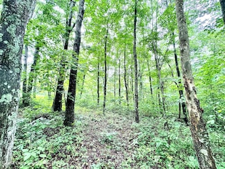 0 Long Fork Rd, Piketon, OH 45661