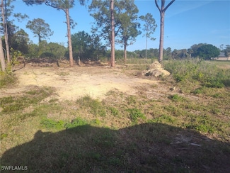 1205 Elaine Ave N, Lehigh Acres, FL 33971