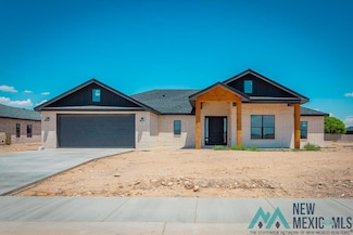 1007 N Eisenhower Rd, Roswell, NM 88201