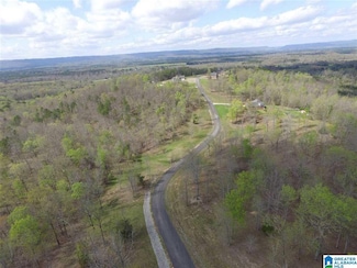 0 Stone Ridge Dr Unit Lot 3 1304198, Springville, AL 35146