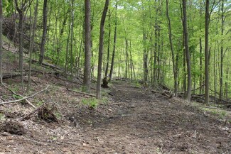0 Tunnel Hill Rd Unit 217017342, Freeport, OH 43973