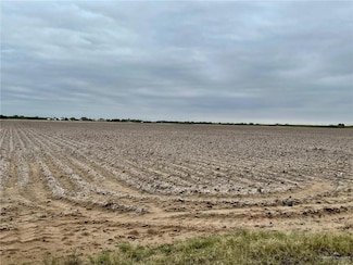 TBD Mile 12 1 2 Rd N, Mercedes, TX 78570