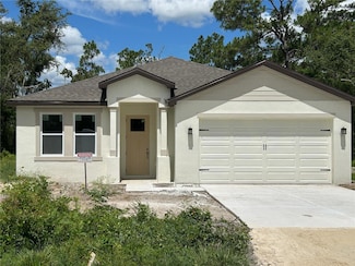 8149 Cashew Dr, Webster, FL 33597