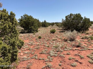 4328 E Parkway Dr Unit 488, Valle, AZ 86046