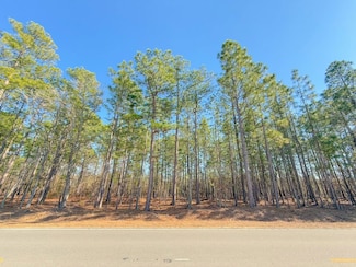 0 Tbd Pleasant Hill Rd Unit LotWP001, Dillon, SC 29536