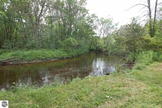 13991 Serenity Dr, Marion, MI 49665
