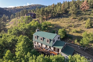 67 Thistle Trail, Idaho Springs, CO 80452