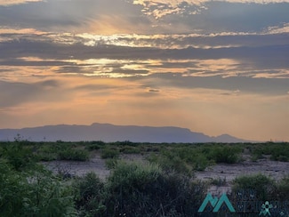 0 Apache Unit 20242781, Deming, NM 88030