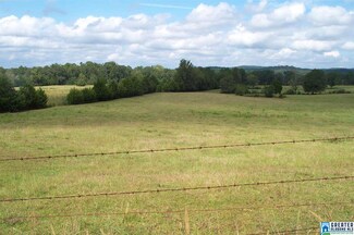 1910 Peaceful Valley Rd Unit 1, Eastaboga, AL 36260