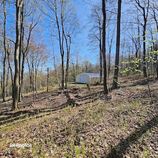 20832 Laurel Mountain Rd, Three Springs, PA 17264