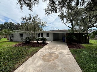 215 Hidden Lake Dr, Brandon, FL 33511