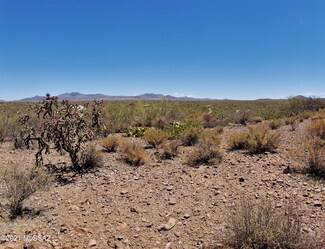 22000BLK S Tocayo Rd, Catalina, AZ 85739
