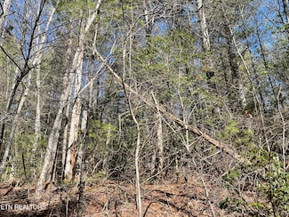 24 Chipman Ct, Crossville, TN 38558