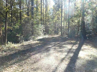 7430-C Lane Rd, Ethel, LA 70730