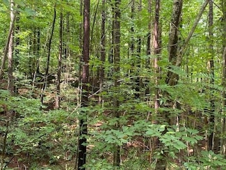 15.48 Tennessee 156, South Pittsburg, TN 37380