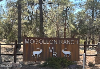 8524 Mogollon Trail Unit 111, Happy Jack, AZ 86024