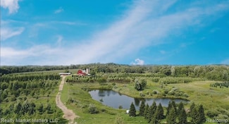 5770 Denhoff Rd, Koylton Township, MI 48741