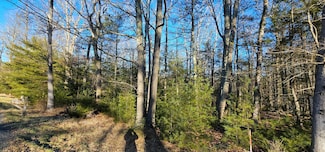 Lot 57.1 Yulan-Barryville Rd, Highland, NY 12791