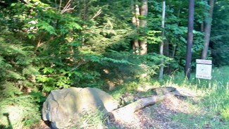 22 Wooded Ln, Muncy Valley, PA 17758