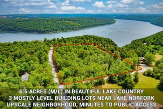 720 Lake Point Bluff, Clarkridge, AR 72623