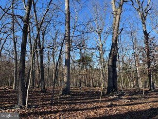 Lot 4 Turkey Ridge Ln, Berkeley Springs, WV 25411