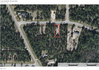 Lots 20&21 Trout Dr, Mossy Head, FL 32433