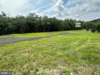 0 Steins Mill Rd, Branch Township, PA 17901