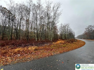 2342 Blue Spruce St, Hazle Township, PA 18202