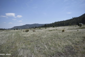 0 Cr 2275 1 22 Acre Unit 248078, Nutrioso, AZ 85932