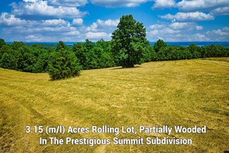 Lots 69-70 Swiss Mountain Dr, Mountain Home, AR 72653
