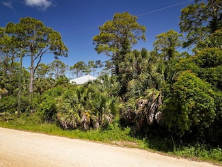 617 E Pine St, St. George Island, FL 32328