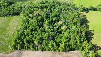 0000 County Road 1350 E, Stanford Township, IL 62839