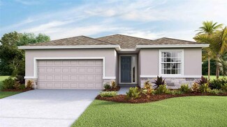 10082 Shoreline View Way, Wesley Chapel, FL 33545