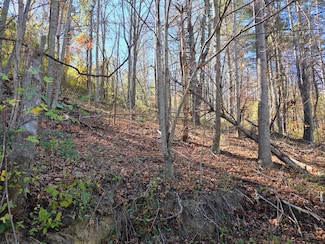 0 Pilot Rd Unit 922240, Riner, VA 24149