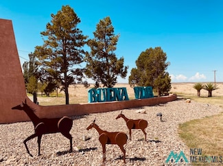00 Las Flores Dr, Roswell, NM 88203