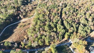 0 Waldrop Rd Unit 21436517, Ashville, AL 35953