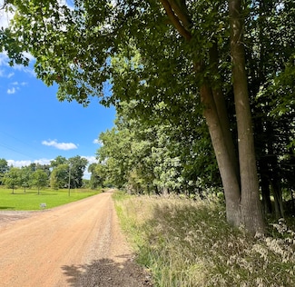 Vacant Chadwick Rd, Westphalia, MI 48894