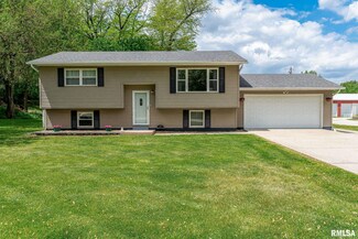 607 Briargate Dr, Colona, IL 61241