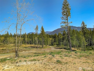 0 Craig Rd Unit Lot A3 NWM2382837, Packwood, WA 98361