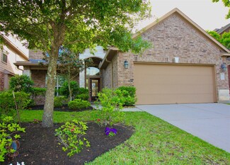 158 Black Swan Place, Magnolia, TX 77354
