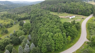 0 Hornell Reservoir Rd Unit LotWP001 24042680, Fremont, NY 14843